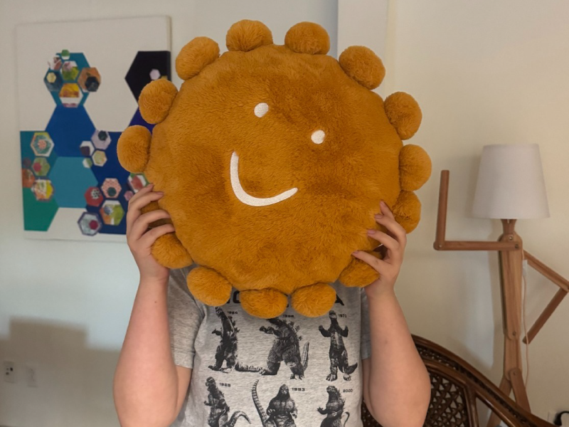 A person holds a stuffed sun with a smiley face in front of their face