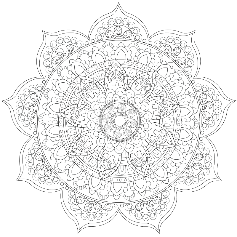 An image of a color activity page featuring a flower