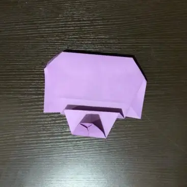 origami demonstration photo